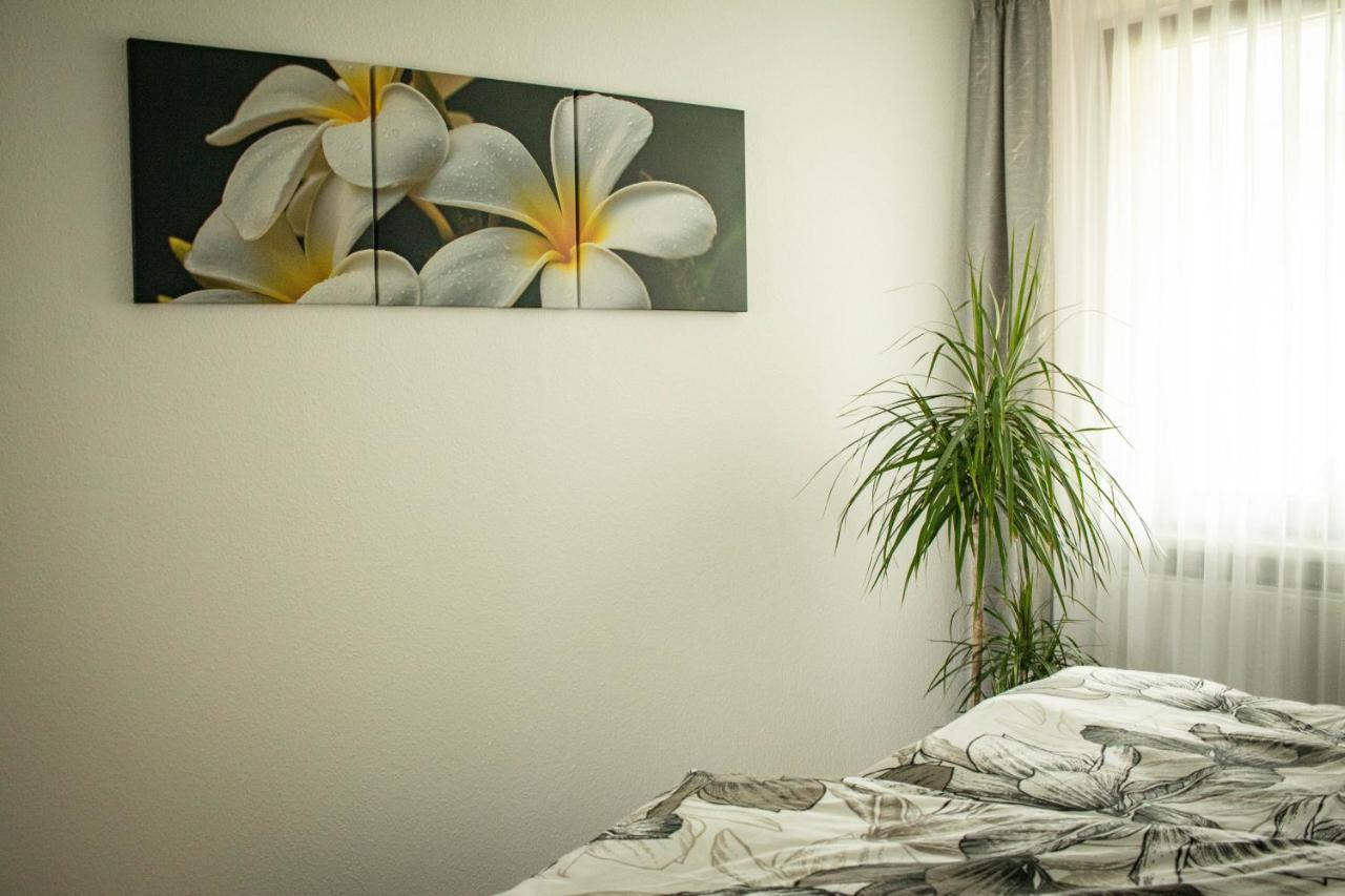 Ebersdorf  Ferienwohnung Am Schlosspark מראה חיצוני תמונה